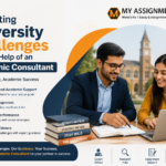 Navigating University Challenges with the Help of an Academic Consultant